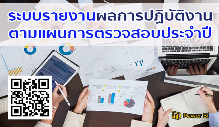 ระบบรายงานผลการปฏิบัติงานตามแผนการตรวจสอบประจำปี